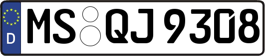 MS-QJ9308