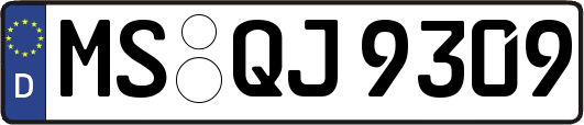 MS-QJ9309