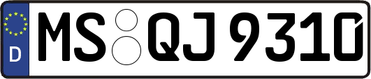 MS-QJ9310
