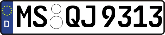 MS-QJ9313