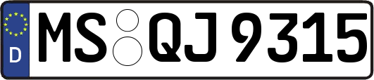 MS-QJ9315