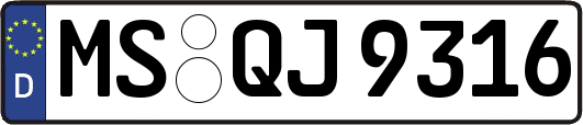 MS-QJ9316