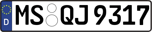 MS-QJ9317