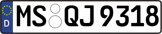 MS-QJ9318