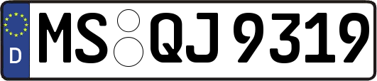 MS-QJ9319