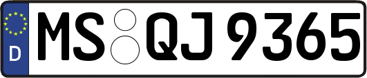 MS-QJ9365