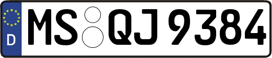 MS-QJ9384