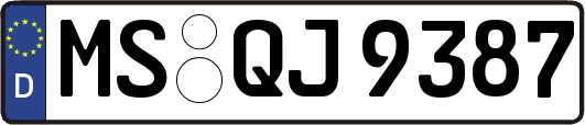 MS-QJ9387