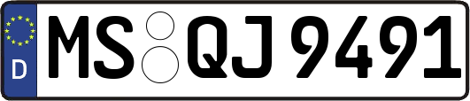 MS-QJ9491