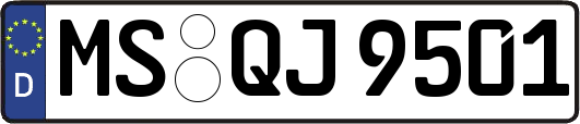 MS-QJ9501