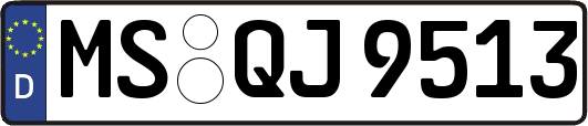 MS-QJ9513