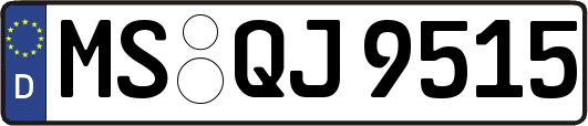 MS-QJ9515