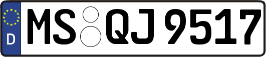 MS-QJ9517