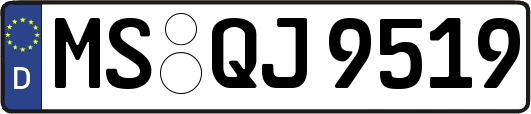 MS-QJ9519