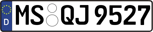 MS-QJ9527