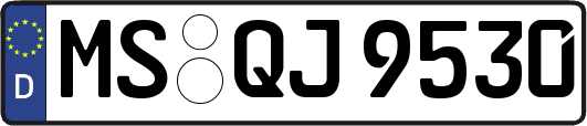 MS-QJ9530
