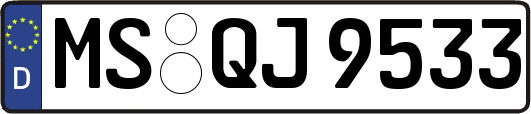 MS-QJ9533