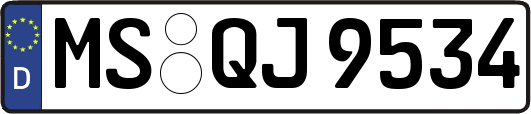 MS-QJ9534