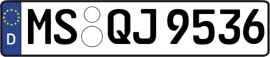 MS-QJ9536