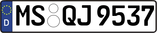 MS-QJ9537