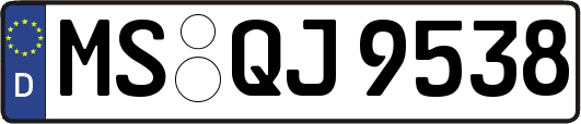 MS-QJ9538