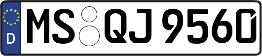 MS-QJ9560