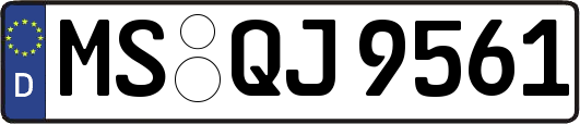 MS-QJ9561
