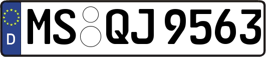 MS-QJ9563