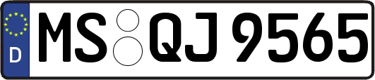 MS-QJ9565