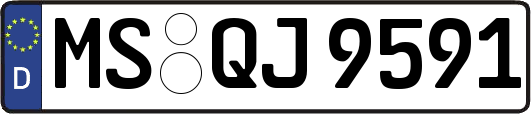 MS-QJ9591