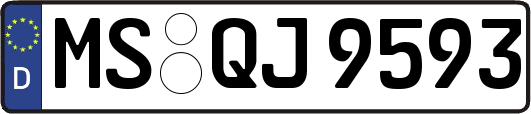 MS-QJ9593