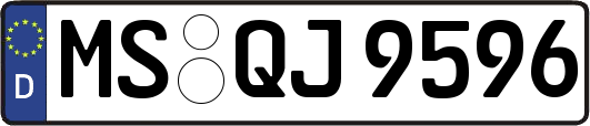 MS-QJ9596