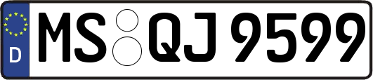 MS-QJ9599