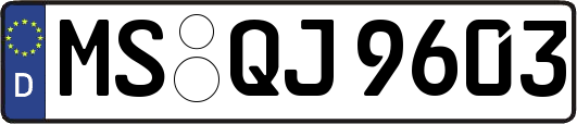 MS-QJ9603