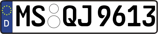 MS-QJ9613