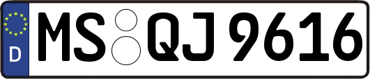 MS-QJ9616
