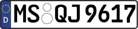 MS-QJ9617