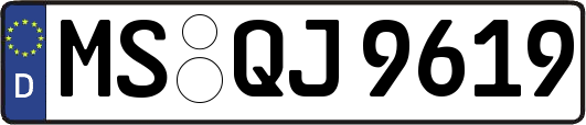 MS-QJ9619