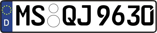 MS-QJ9630