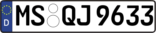 MS-QJ9633