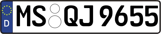 MS-QJ9655