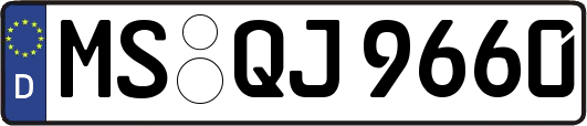 MS-QJ9660