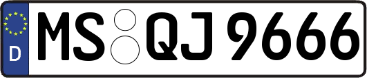 MS-QJ9666