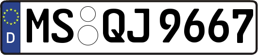 MS-QJ9667