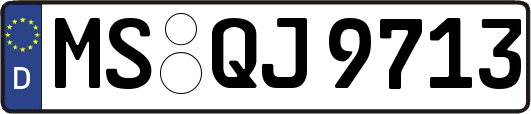 MS-QJ9713