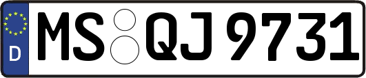 MS-QJ9731