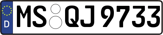 MS-QJ9733