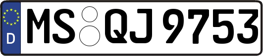 MS-QJ9753