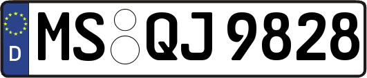 MS-QJ9828