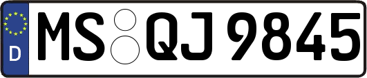 MS-QJ9845